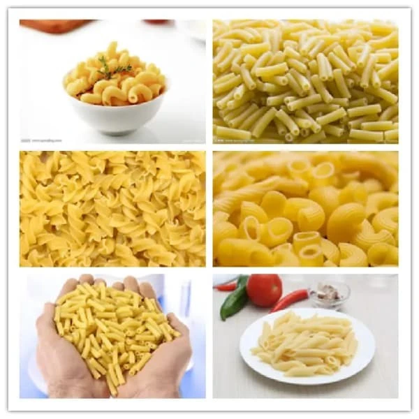 Spaghetti Macaroni Pasta Machine factory