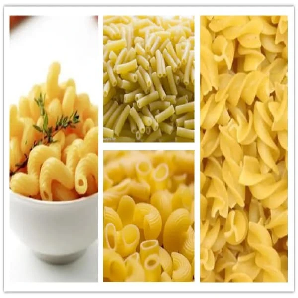 Spaghetti Macaroni Pasta Machine suppliers